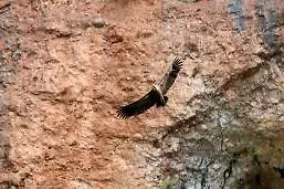 Séjour à la campagne Naturist Peyraille *